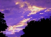 Blueberry Sky