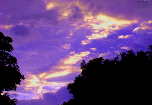 Blueberry Sky