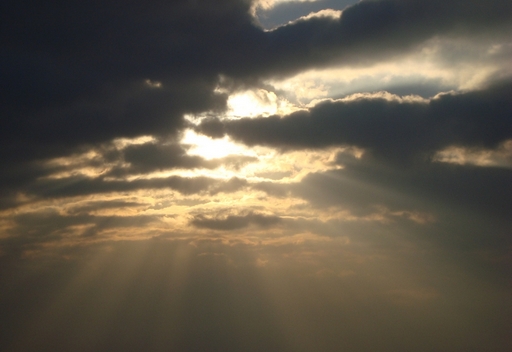 Sun rays
