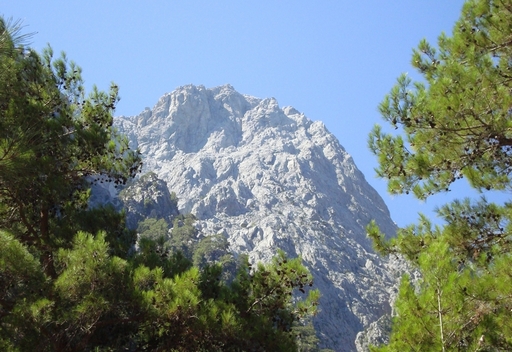 Λευκή κορυφή