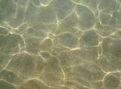 Shallow water sand