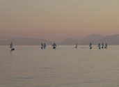 Ιστιοφόρα