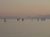 Sailboats