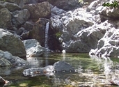 Clear waters