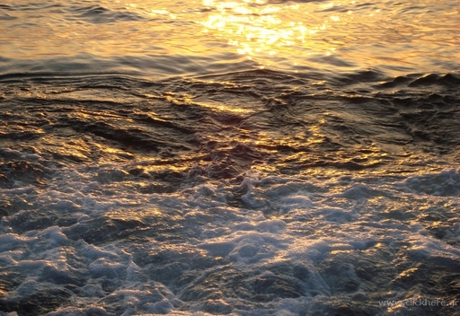 Golden waters