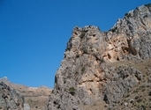 Κουρταλιώτης