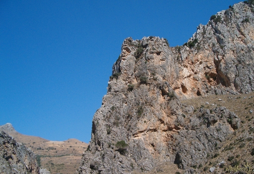 Κουρταλιώτης