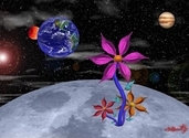 Giant Lunar Flower