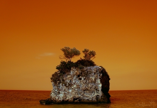 Νήσος