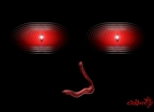 My OM