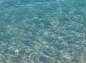 Θάλασσα Πηλίου
