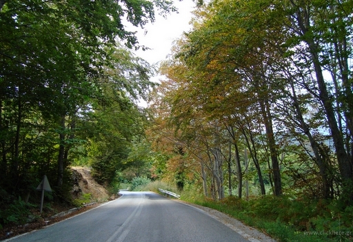 Δρόμος