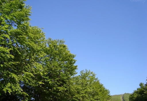 Serene environment