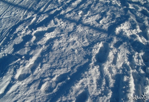 Snow