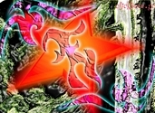 Tribal Star