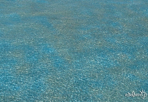 Sea