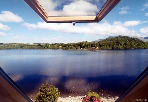 Room with a view
