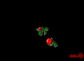 Mistletoe